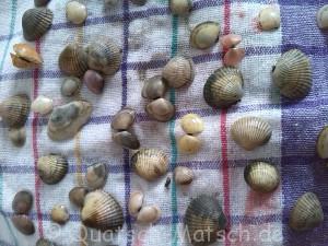 IMG_20140810_164404