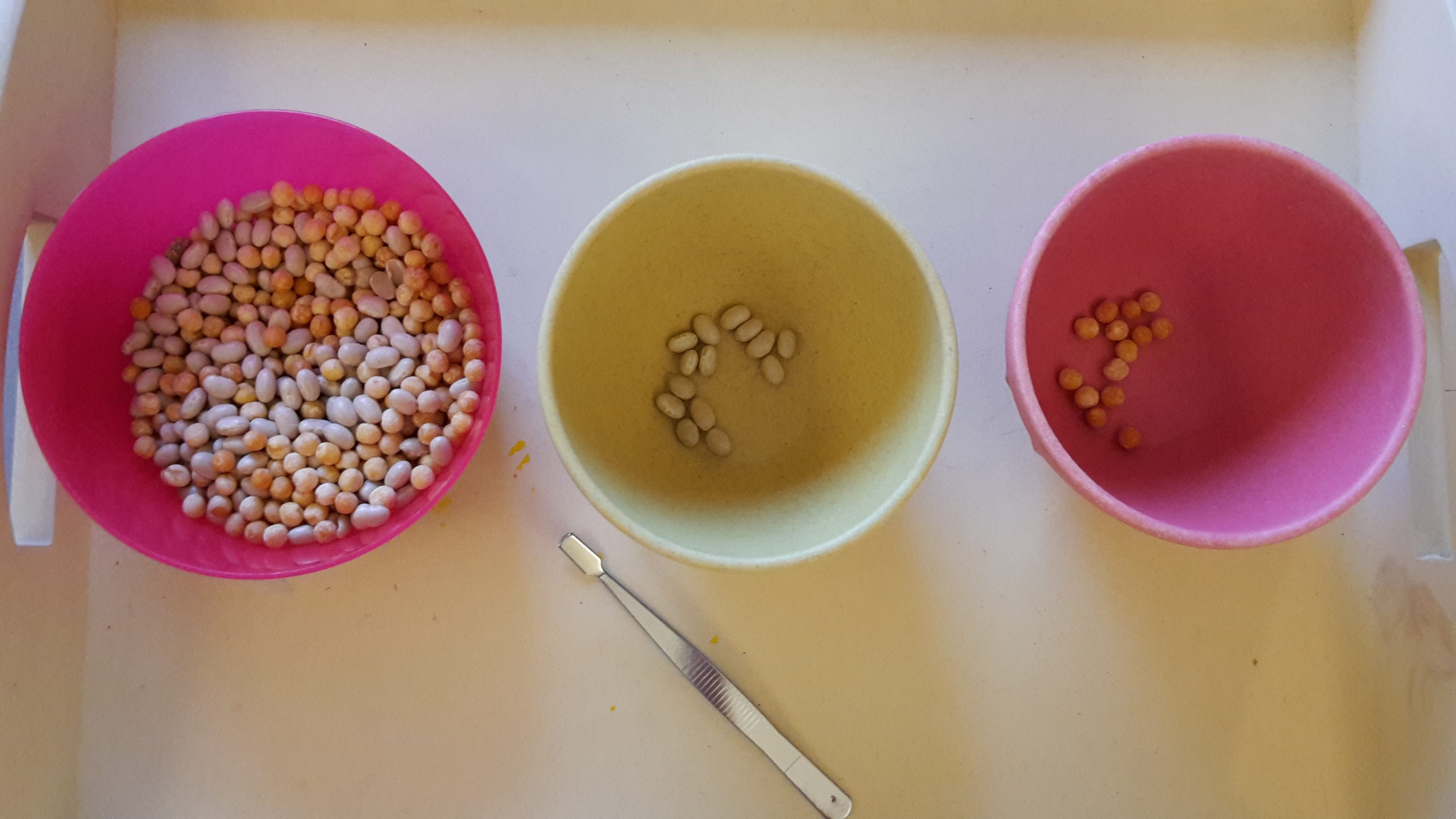 Sortieren wie Aschenputtel – Montessori