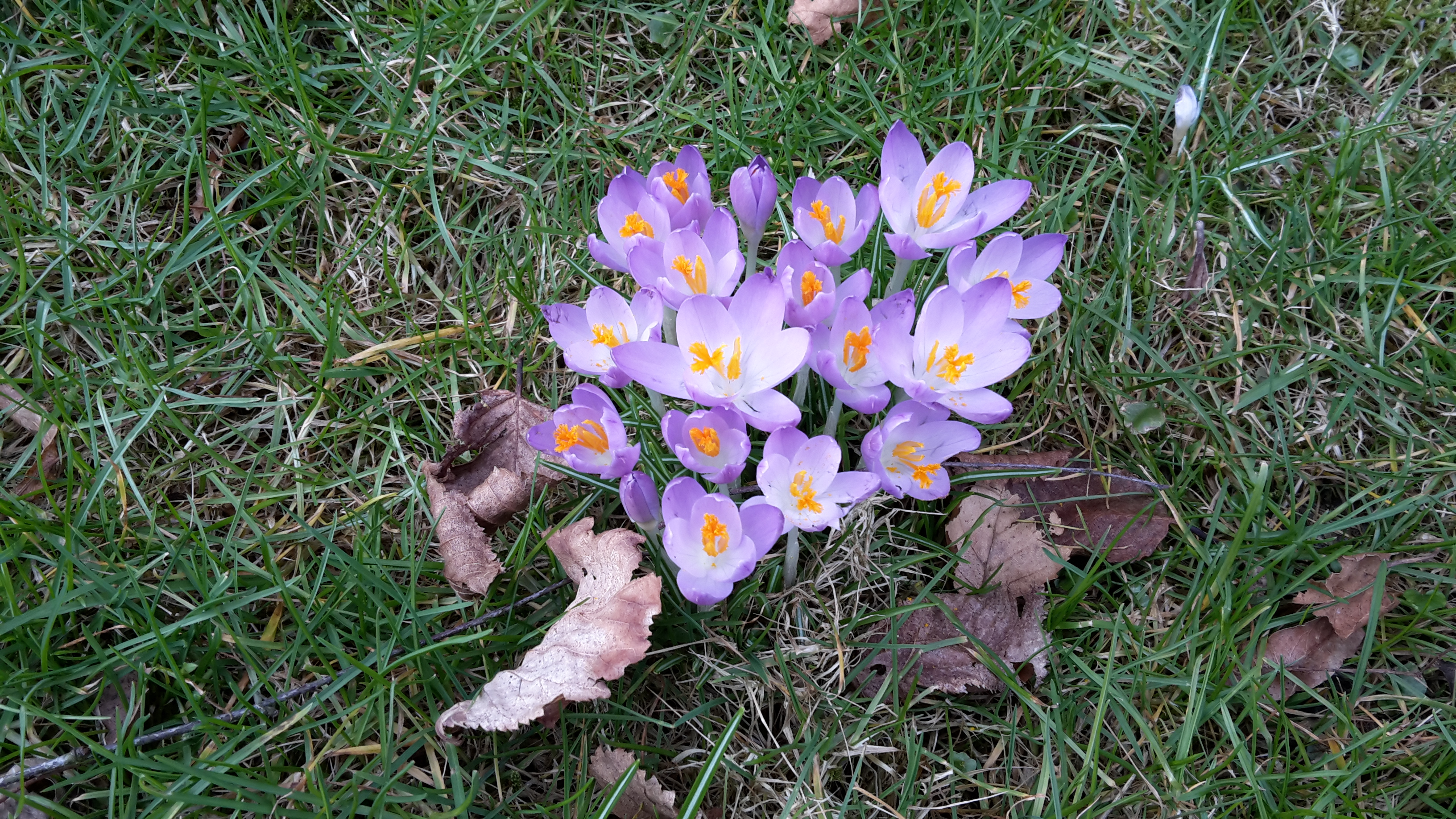 Wochenende in Bildern 04.03. – 05.03.2017