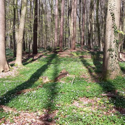 Wochenende in Bilder 22.04. – 23.04.2017
