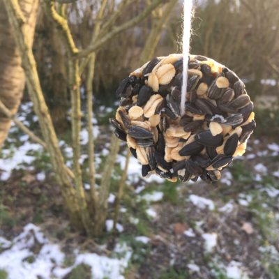 Vogelfutter selber machen – Durch den Winter