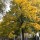Wochenende in Bildern 22 – 23 Oktober 2016